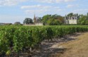Grape vines and a chateau on the way to Martillac